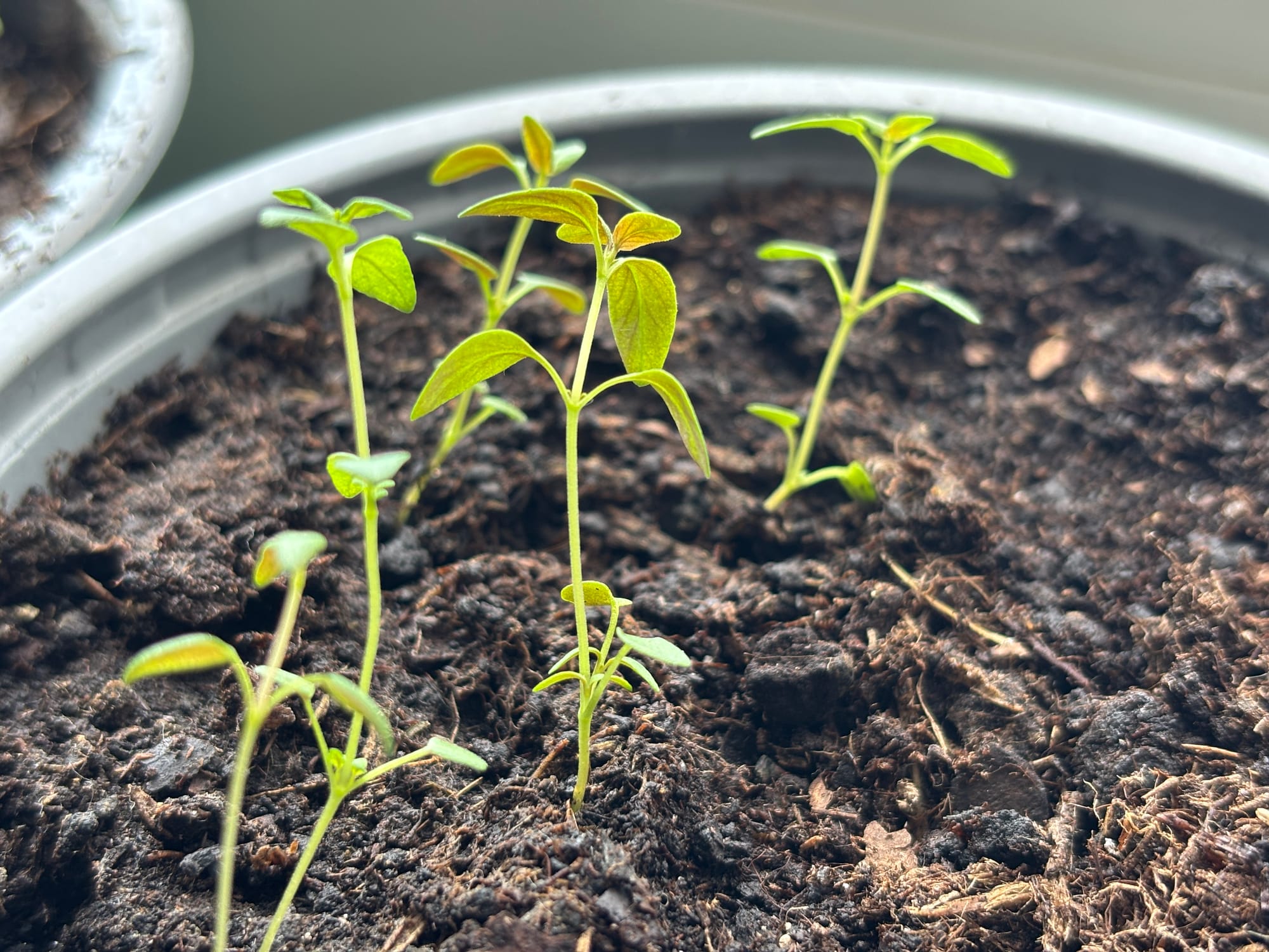 Skoro interesujesz się filmami, to na pewno widziałaś...